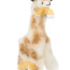 14" inches tall - Mixed color