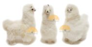 Alpaca Fur Stuffed Figurine Standing with booties 10" - White - 15161657