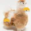 Alpaca Fur Stuffed Figurine Standing with booties 10" - Mixed color - 15161657